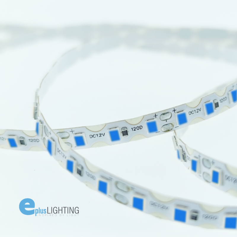Fita LED 5M EPLUS ZIG-ZAG 12V 7.2W/m 120x SMD 2835 IP20 Azul