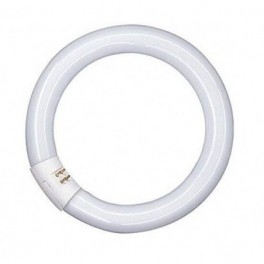 Lâmpada LED MAXLED T9 29W...