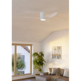 Candeeiro e Ventoinha de Teto EGLO BARACARÈS 20W TW (3000K-6500K)