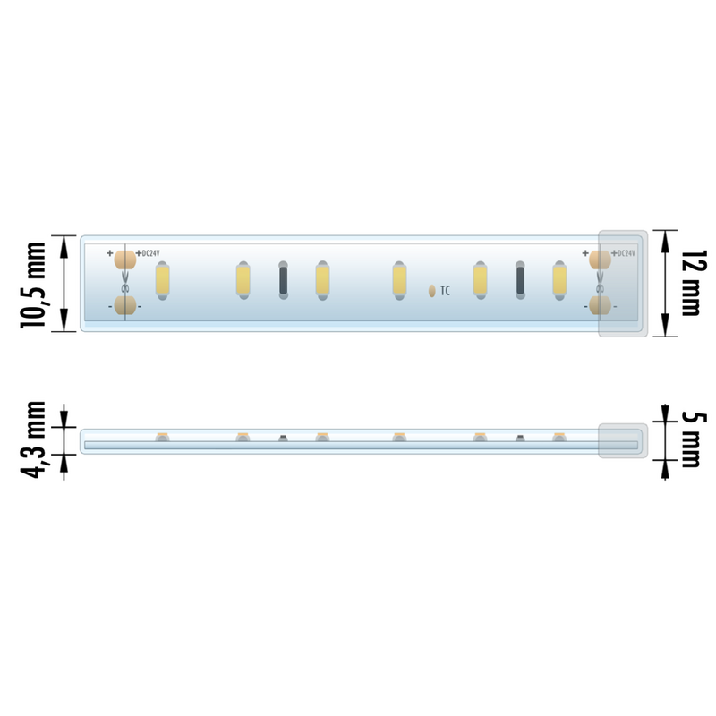 Fita LED 5M EPLUS 24V 4.8W/m 60x SMD 2835 IP67 Luz Fria (6500K)