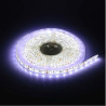 FITAS DE LED 12V