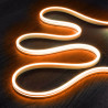 NEON LED