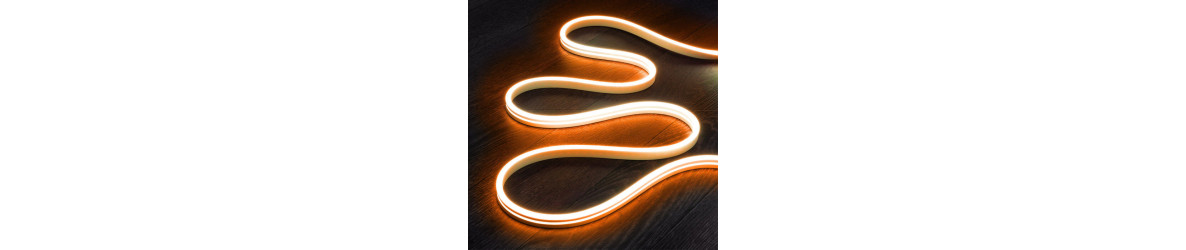 NEON LED 24V